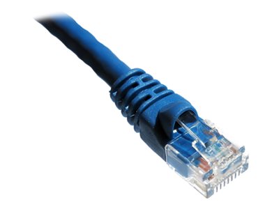 Axiom patch cable - TAA Compliant - 15.2 m - blue