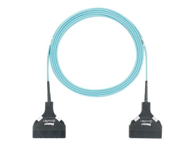 Panduit QuickNet SFQ Trunk Cable Assemblies - network cable - 5 m - aqua