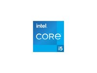 Intel Core i5 12400F / 2.5 GHz processor - OEM