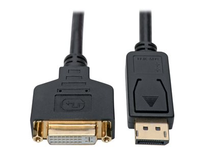 Tripp Lite DisplayPort to DVI Adapter Converter Cable M/F 1080p Black DP to DVI 1ft - DVI adapter - 30.48 cm