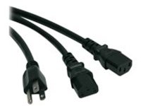 Tripp Lite 6ft Power Cord Y Splitter Cable 5-15P to 2xC13 10A 18AWG 6&#x27; - power splitter - 1.8 m