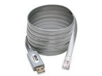 Tripp Lite USB to RJ45 Cisco Serial Rollover Cable, USB Type-A to RJ45 M/M, 6 ft - serial adapter