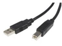 StarTech.com 6 ft. (1.8 m) USB Printer Cable - USB 2.0 A to B - Printer Cable - Black - USB A to B (USB2HAB6) - USB cab&#x2026;